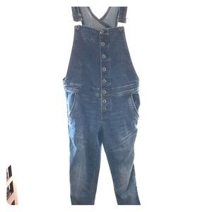 Free People Overall Denim